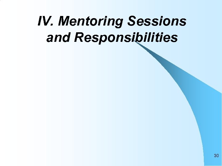 IV. Mentoring Sessions and Responsibilities 30 