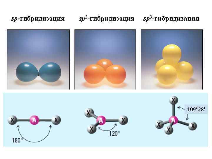 sp-гибридизация sp 2 -гибридизация sp 3 -гибридизация 109° 28' 