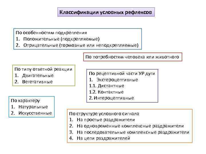 Классификация условных рефлексов По особенностям подкрепления 1. Положительные (подкрепляемые) 2. Отрицательные (тормозные или неподкрепляемые)