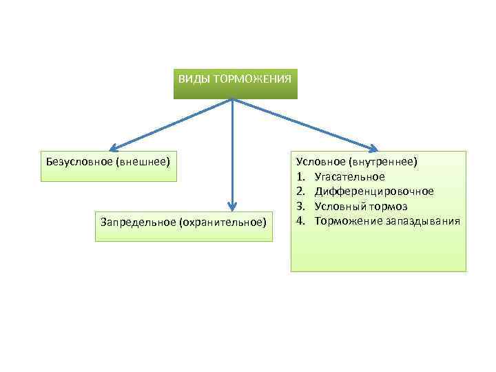 ВИДЫ ТОРМОЖЕНИЯ Безусловное (внешнее) Запредельное (охранительное) Условное (внутреннее) 1. Угасательное 2. Дифференцировочное 3. Условный