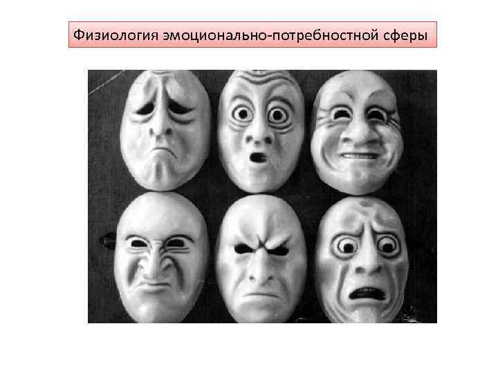 Физиология эмоционально-потребностной сферы 