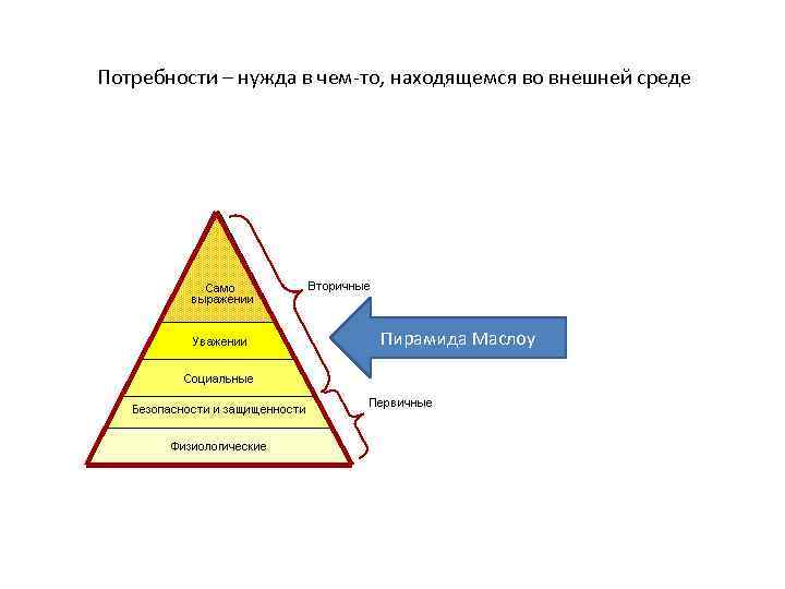 Сфера потребностей человека. Потребность это физиология. Классификация потребностей физиология. Потребности человека физиология. Физиологические потребности первичные.