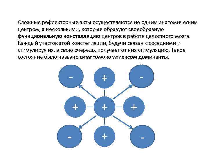 Сложные рефлекторные акты осуществляются не одним анатомическим центром, а несколькими, которые образуют своеобразную функциональную
