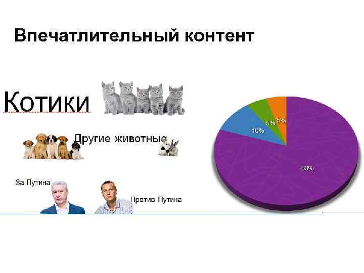 Впечатлительный контент 