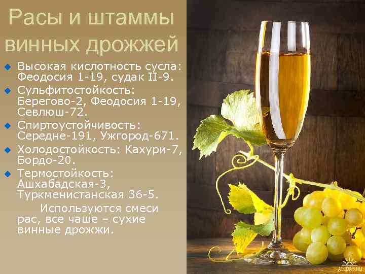 Расы и штаммы винных дрожжей u u u Высокая кислотность сусла: Феодосия 1 -19,