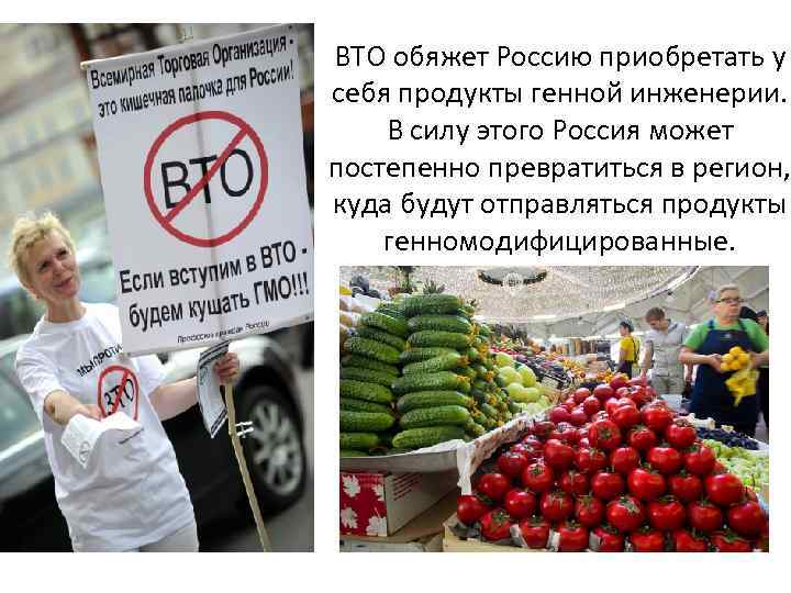 ВТО обяжет Россию приобретать у себя продукты генной инженерии. В силу этого Россия может