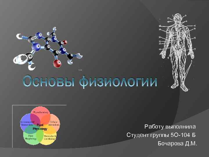 Основы физиологии Работу выполнила Студент группы 5 О-104 Б Бочарова Д. М. 