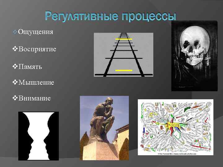 Регулятивные процессы v. Ощущения v. Восприятие v. Память v. Мышление v. Внимание 