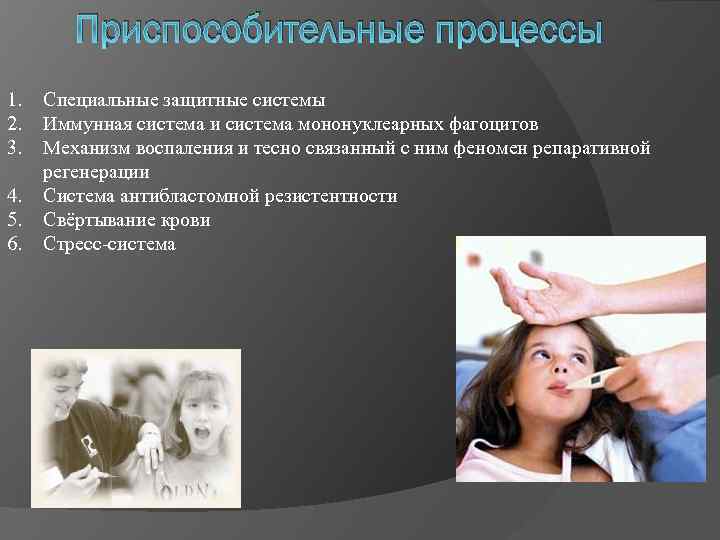 Приспособительные процессы 1. 2. 3. 4. 5. 6. Специальные защитные системы Иммунная система и