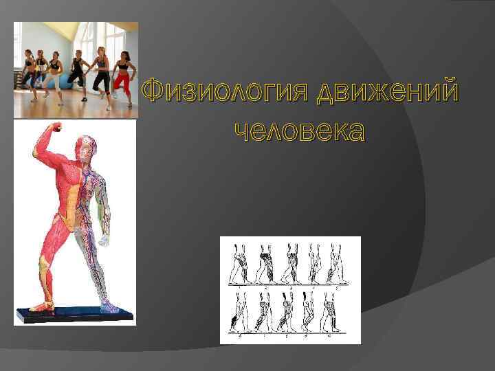 Физиология движений человека 