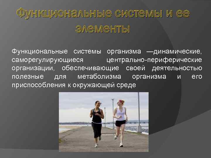Функциональные системы и ее элементы Функциональные системы организма —динамические, саморегулирующиеся центрально-периферические организации, обеспечивающие своей