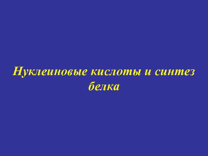 Нуклеиновые кислоты и синтез белка 