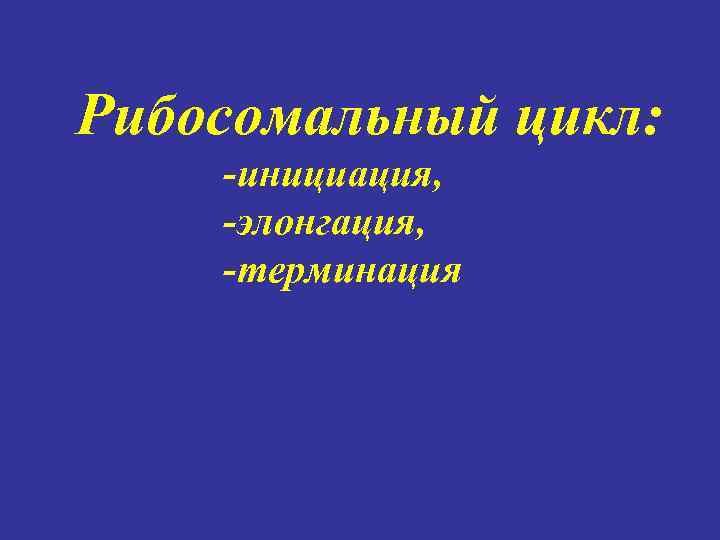Рибосомальный цикл: -инициация, -элонгация, -терминация 