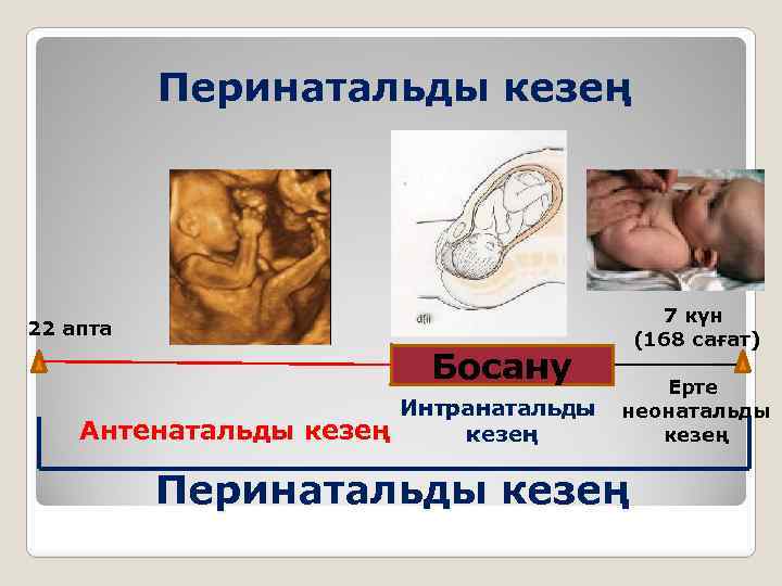 Перинатальды кезең 7 күн (168 сағат) 22 апта Босану Антенатальды кезең Интранатальды кезең Ерте
