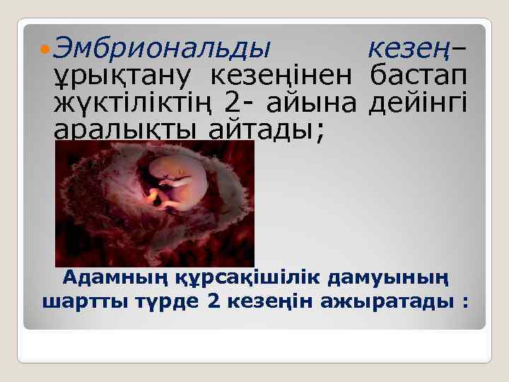  Эмбриональды кезең– ұрықтану кезеңінен бастап жүктіліктің 2 - айына дейінгі аралықты айтады; Адамның