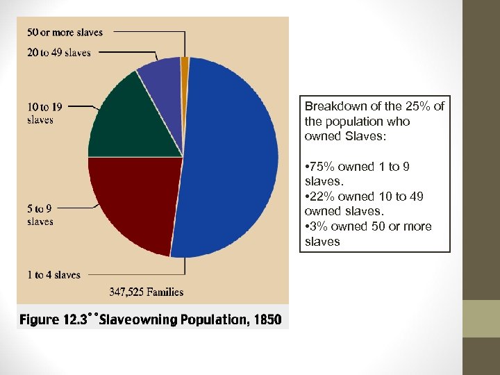 Breakdown of the 25% of the population who owned Slaves: • 75% owned 1