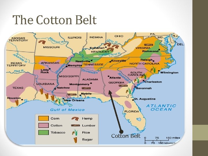 The Cotton Belt 