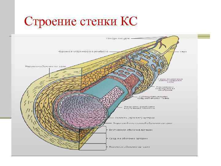 Строение стенки КС 