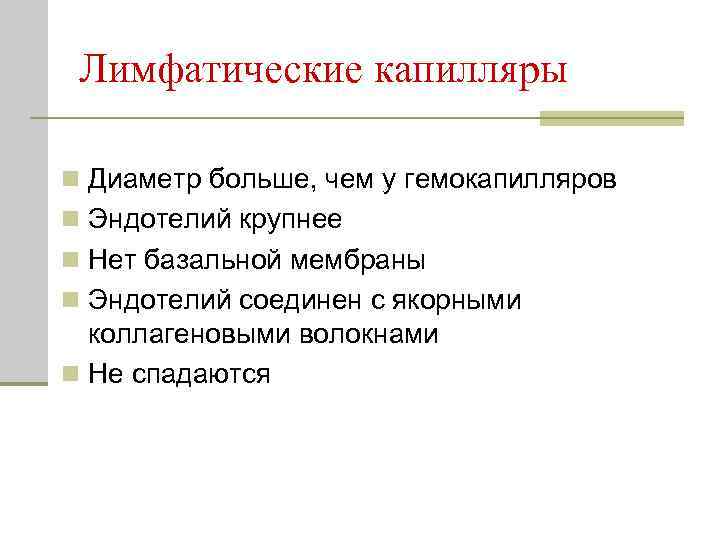 Лимфатические капилляры n Диаметр больше, чем у гемокапилляров n Эндотелий крупнее n Нет базальной