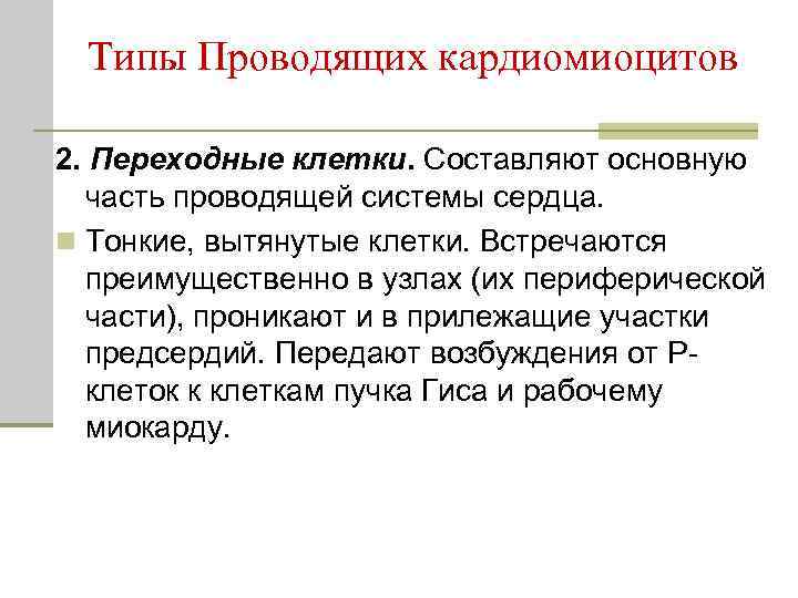 Типы Проводящих кардиомиоцитов 2. Переходные клетки. Составляют основную часть проводящей системы сердца. n Тонкие,