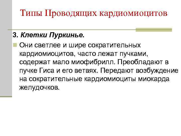 Типы Проводящих кардиомиоцитов 3. Клетки Пуркинье. n Они светлее и шире сократительных кардиомиоцитов, часто