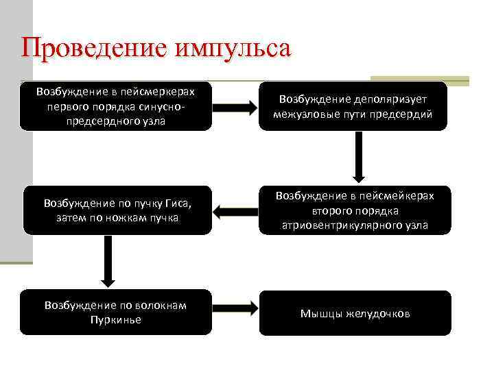 Проведение импульса Возбуждение в пейсмеркерах первого порядка синуснопредсердного узла Возбуждение деполяризует межузловые пути предсердий