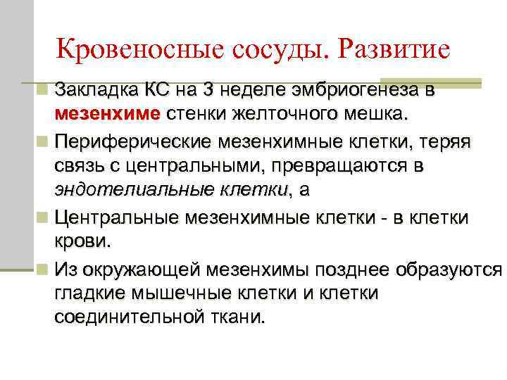 Кровеносные сосуды. Развитие n Закладка КС на 3 неделе эмбриогенеза в мезенхиме стенки желточного