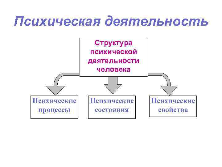 Психическая деятельность Структура психической деятельности человека Психические процессы Психические состояния Психические свойства 