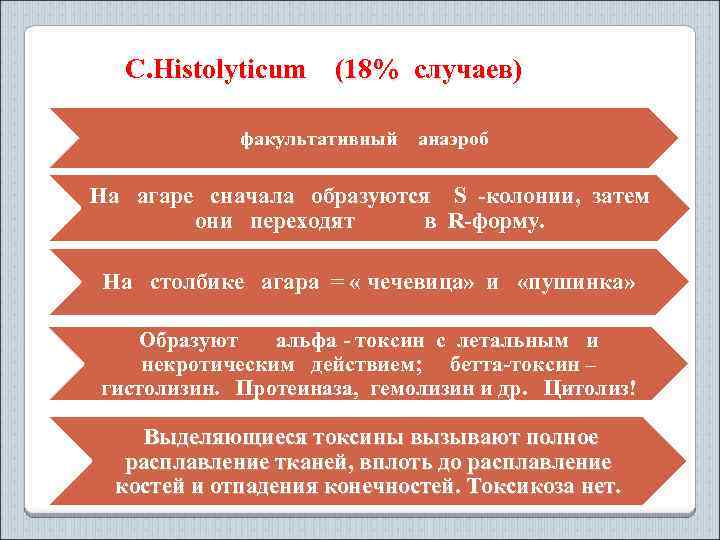 C. Histolyticum (18% cлучаев) факультативный анаэроб На агаре сначала образуются S -колонии, затем они