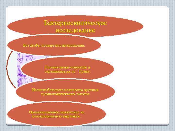 Бактериоскопическое исследование Все пробы подвергают микроскопии. Готовят мазки-отпечатки и окрашивают их по Граму. Наличие