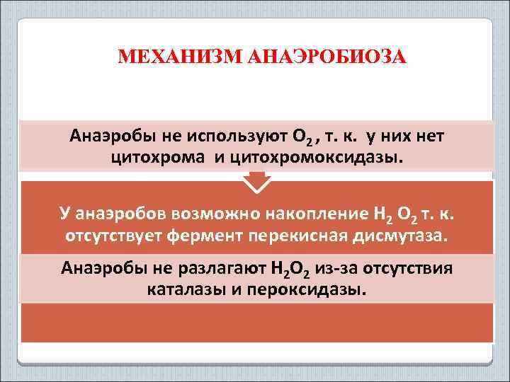 МЕХАНИЗМ АНАЭРОБИОЗА Анаэробы не используют O 2 , т. к. у них нет цитохрома