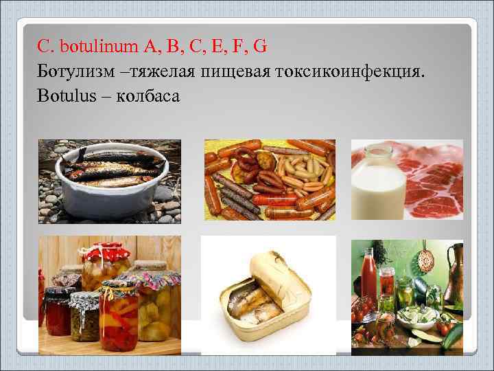 C. botulinum A, B, C, E, F, G Ботулизм –тяжелая пищевая токсикоинфекция. Botulus –
