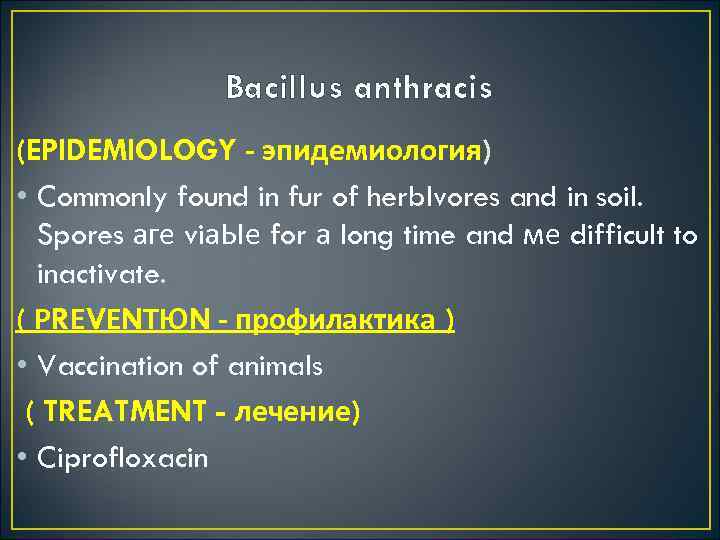 Bacillus anthracis (EPl. DEMIOLOGY эпидемиология) • Commonly found in fur of herblvores and in