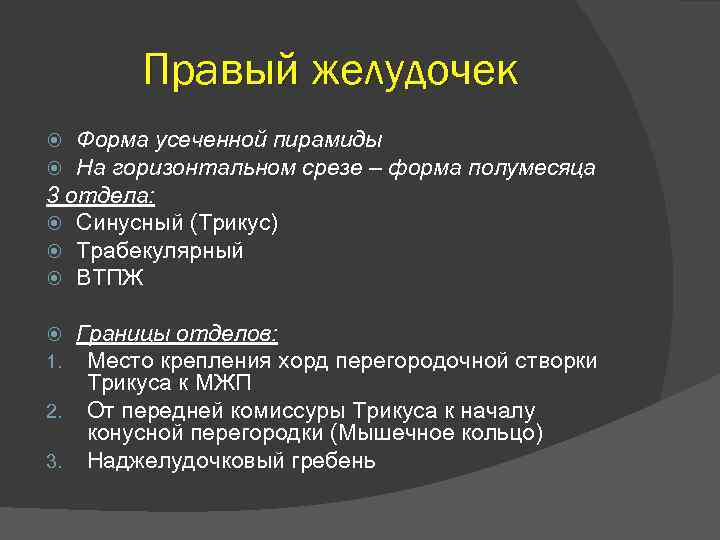 Правый желудочек Форма усеченной пирамиды На горизонтальном срезе – форма полумесяца 3 отдела: Синусный