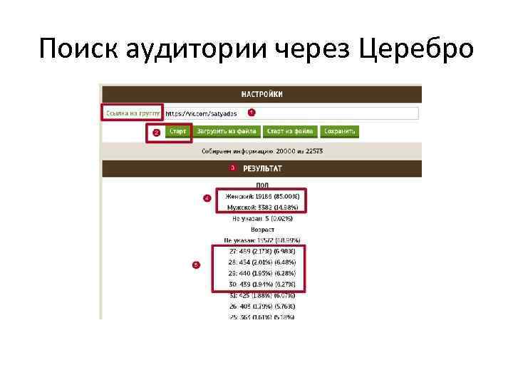 Поиск аудитории через Церебро 