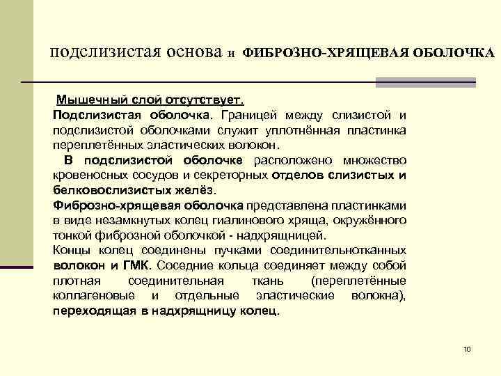  подслизистая основа и ФИБРОЗНО-ХРЯЩЕВАЯ ОБОЛОЧКА Мышечный слой отсутствует. Подслизистая оболочка. Границей между слизистой