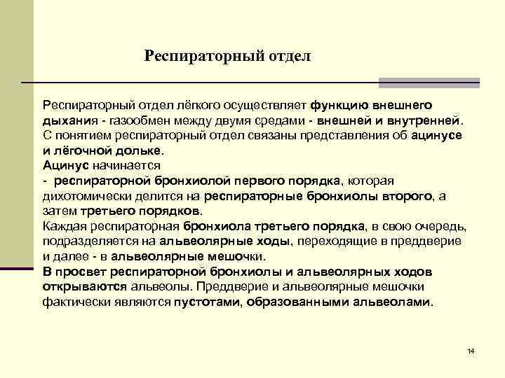 Респираторный отдел лёгкого осуществляет функцию внешнего дыхания - газообмен между двумя средами - внешней