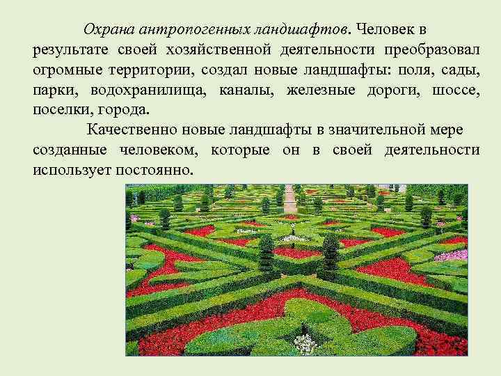 Охрана антропогенных ландшафтов. Человек в результате своей хозяйственной деятельности преобразовал огромные территории, создал новые