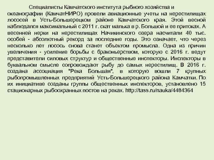 Специалисты Камчатского института рыбного хозяйства и океанографии (Камчат. НИРО) провели авиационные учеты на нерестилищах