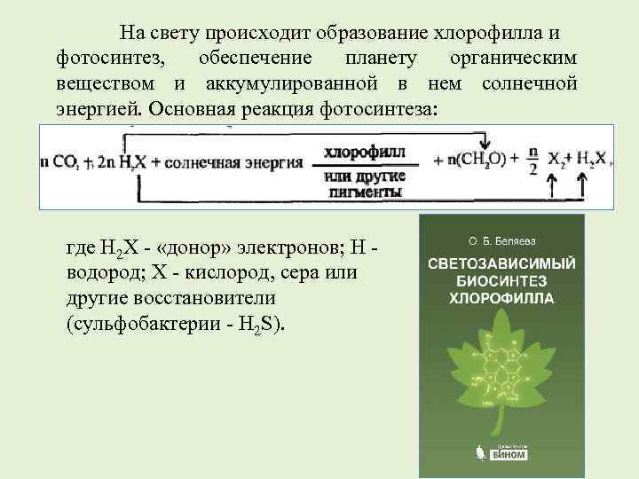 На свету происходит образование хлорофилла и фотосинтез, обеспечение планету органическим веществом и аккумулированной в