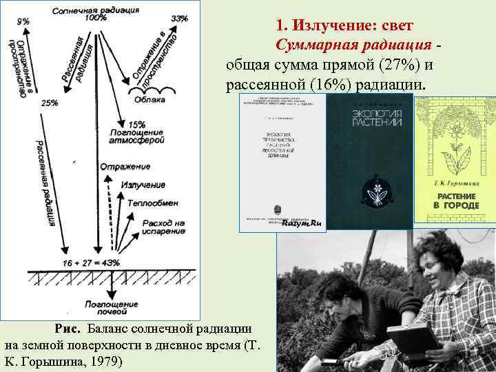 1. Излучение: свет Суммарная радиация - общая сумма прямой (27%) и рассеянной (16%) радиации.