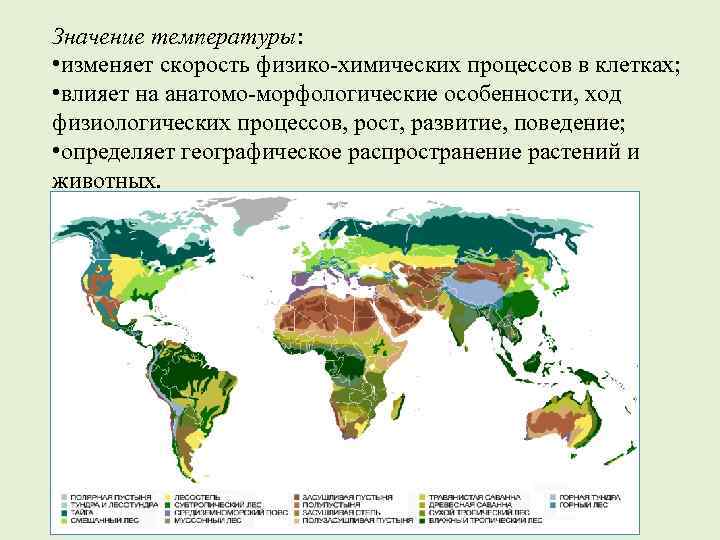 Значение температуры: • изменяет скорость физико-химических процессов в клетках; • влияет на анатомо-морфологические особенности,