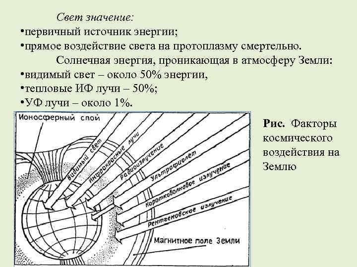 Свет значение: • первичный источник энергии; • прямое воздействие света на протоплазму смертельно. Солнечная