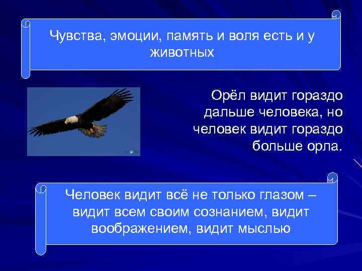 Чувства, эмоции, память и воля есть и у животных Орёл видит гораздо дальше человека,