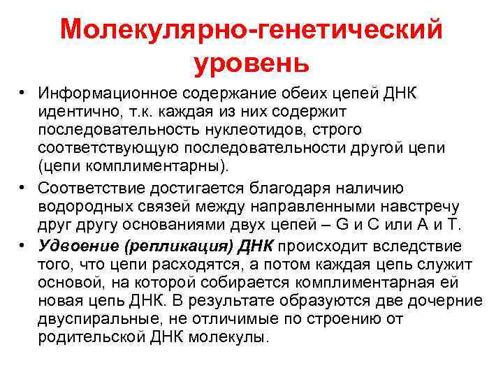 Молекулярно-генетический уровень • Информационное содержание обеих цепей ДНК идентично, т. к. каждая из них