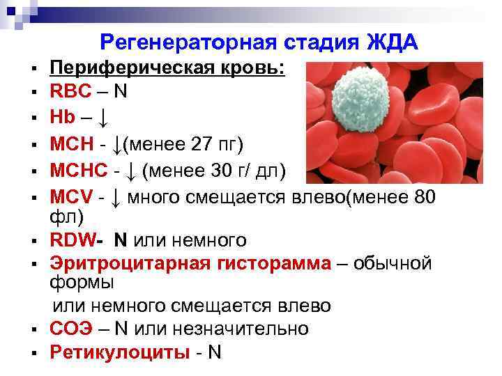 Регенераторная стадия ЖДА § § § § § Периферическая кровь: RBC – N Hb