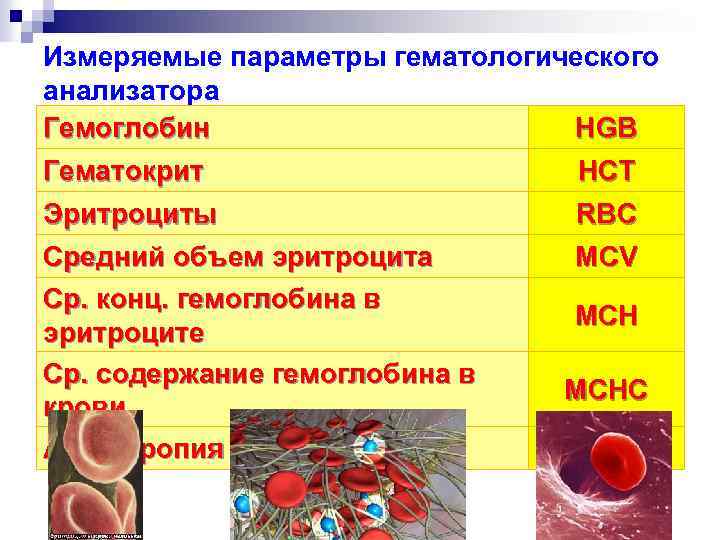 Измеряемые параметры гематологического анализатора Гемоглобин HGB Гематокрит HCT Эритроциты Средний объем эритроцита Ср. конц.