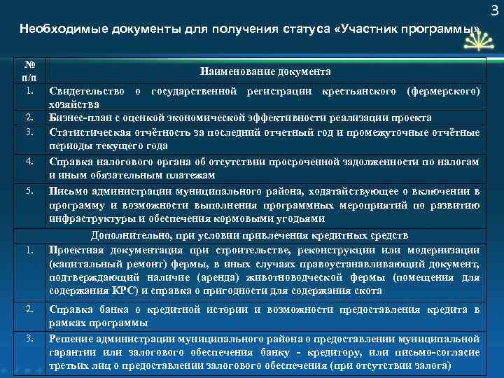 3 Необходимые документы для получения статуса «Участник программы» № п/п 1. 2. 3. 4.