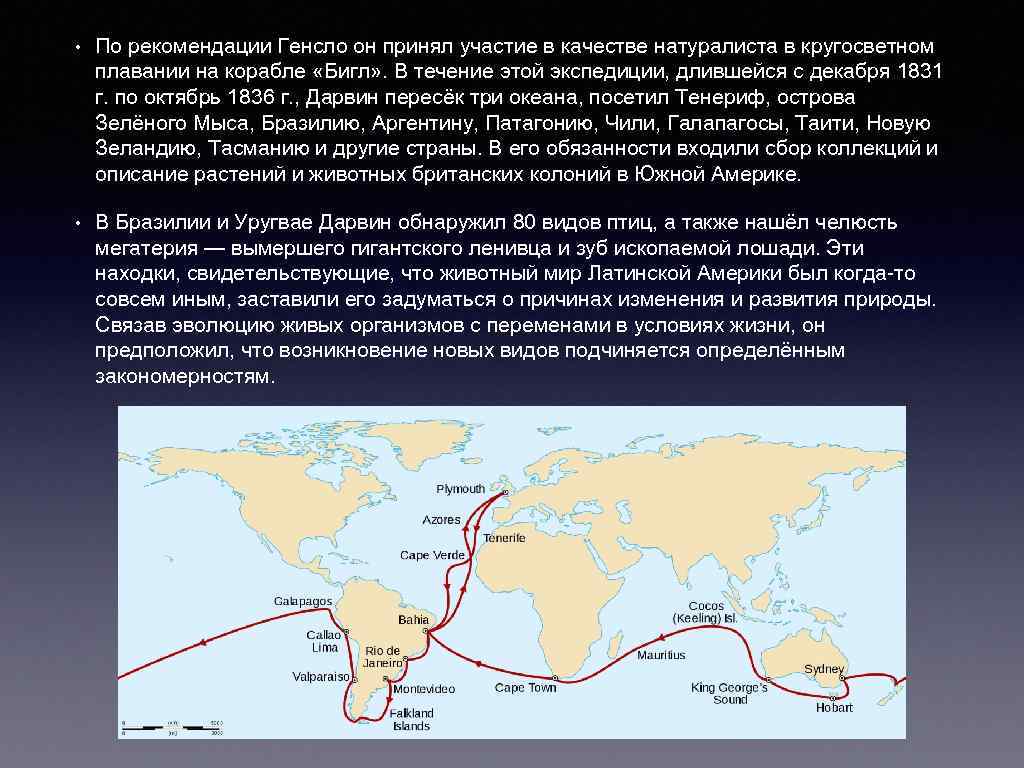 Дарвин южная америка. Маршрут Дарвина кругосветное кругосветное путешествие Чарльза. Дарвин путешествие в Южную Америку. Путешествие по Южной Америке Дарвина. Путешествие Дарвина на Бигле таблица.