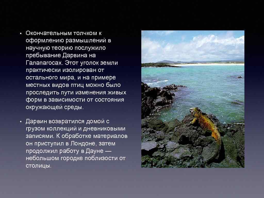  • Окончательным толчком к оформлению размышлений в научную теорию послужило пребывание Дарвина на